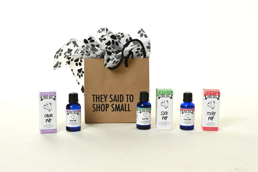 A Tail-Wagging Guide to Using Aromatherapy for Dogs