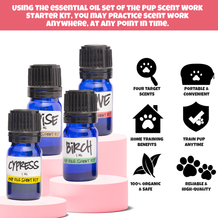 AKC Scent Training Kit / Scent Work for Dogs / Become a AKC Champion