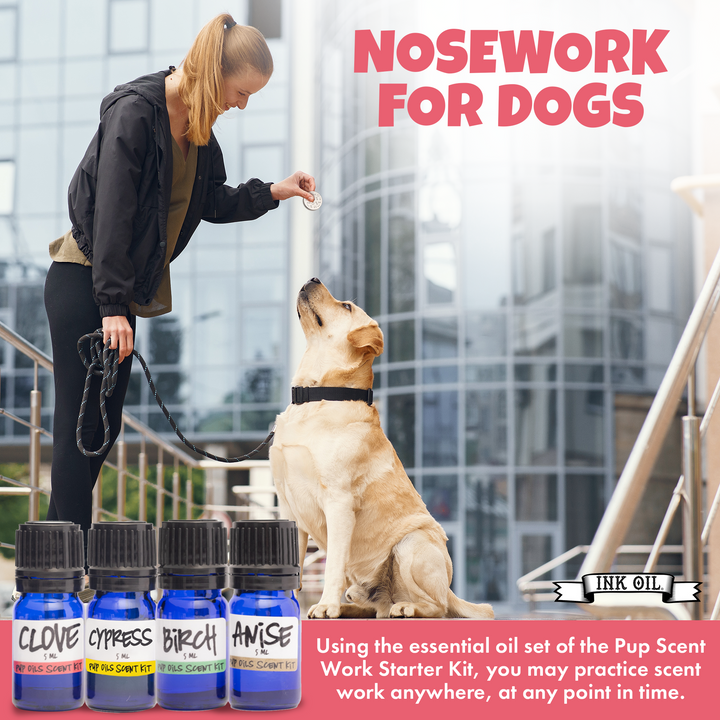 AKC Scent Training Kit / Scent Work for Dogs / Become a AKC Champion