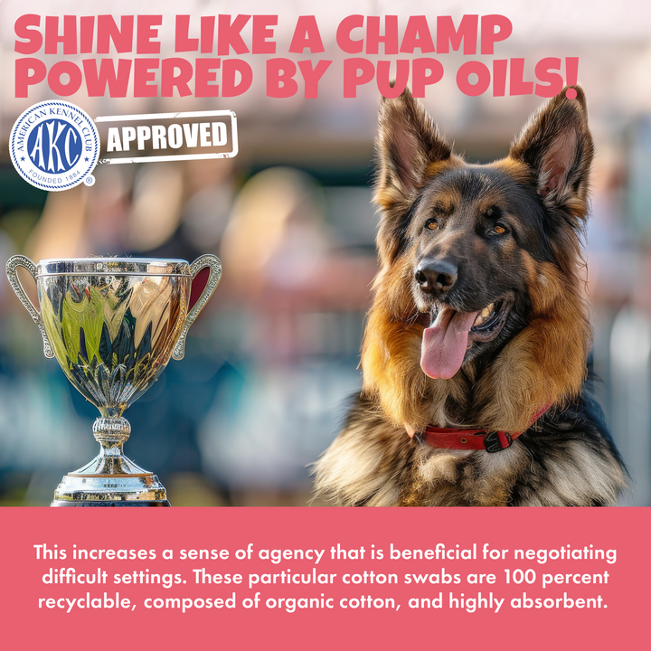 AKC Scent Training Kit / Scent Work for Dogs / Become a AKC Champion