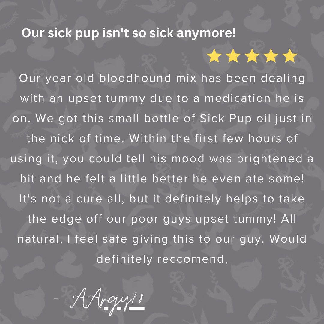 Digestion Essential Oils for Dog / Sick Pup