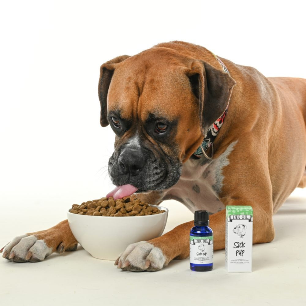 Digestion Essential Oils for Dog / Sick Pup